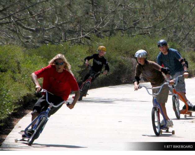 Skateboard bicycle