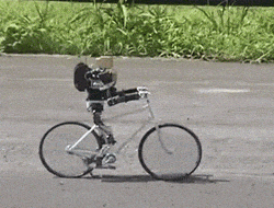 Robot cycliste
