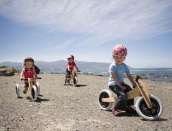 Tricycle en bois pour enfant Wishbone Design