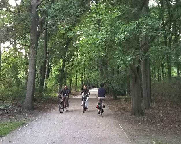 Velo en foret a Berlin