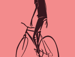 Thorsten Hasenkamm bicycle illustrations