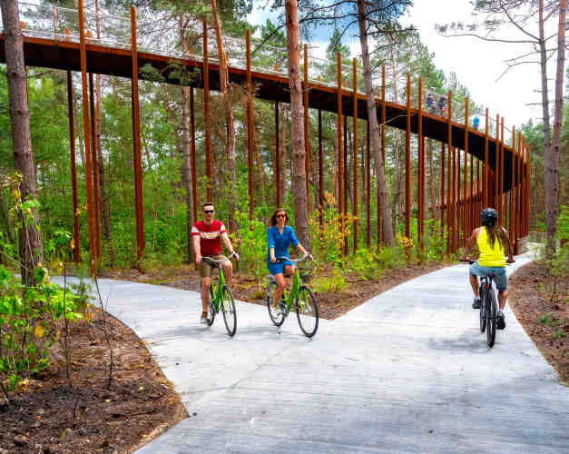 Piste cyclable foret